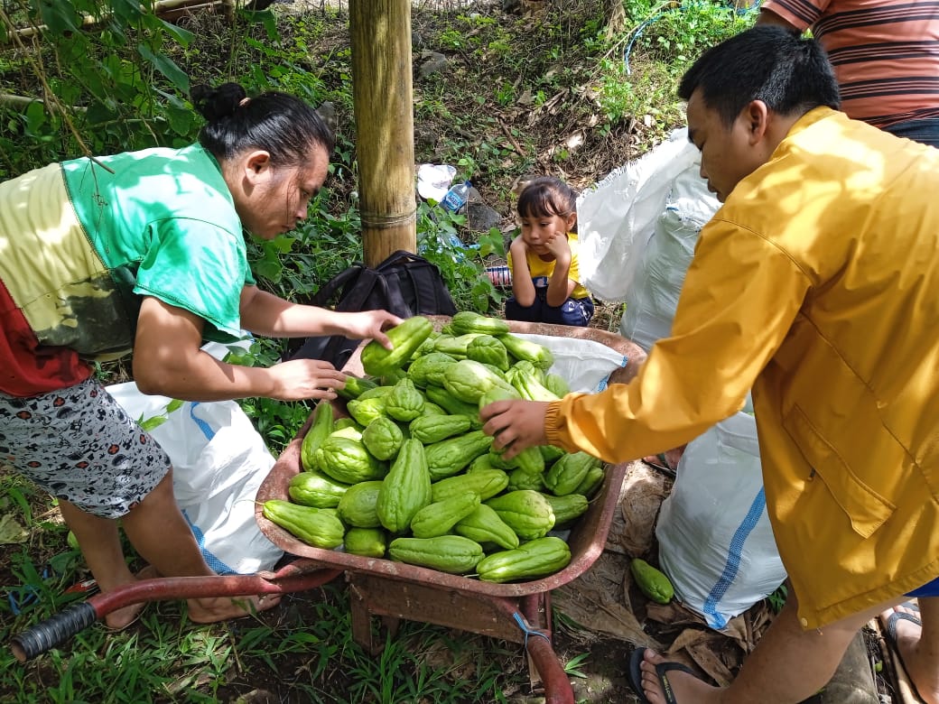 Kontingen AMAN Sulawesi Utara Bawa Hasil Panen Sayur ke KMAN VI di Papua
